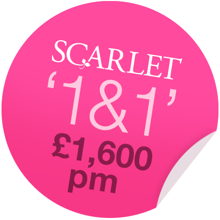 scarlet1and1sticker